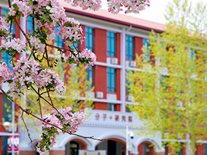 日本无码a片