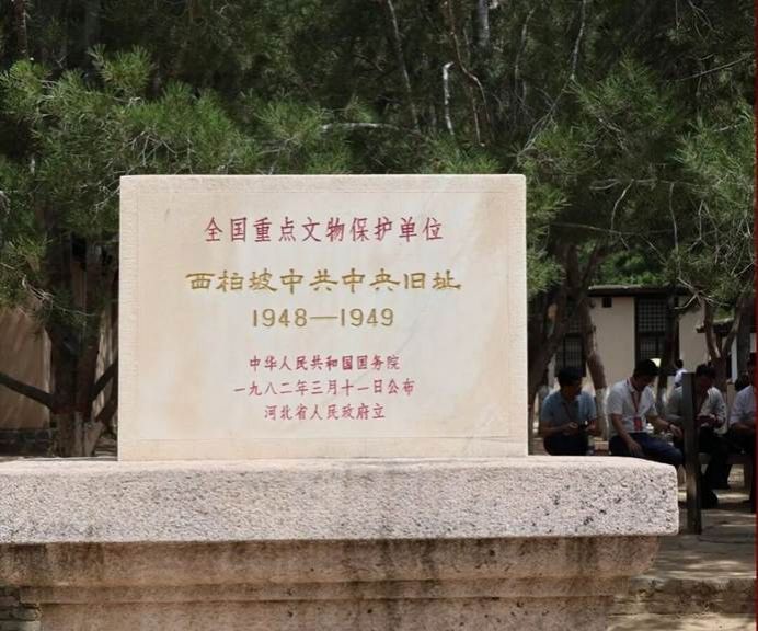 日本无码a片