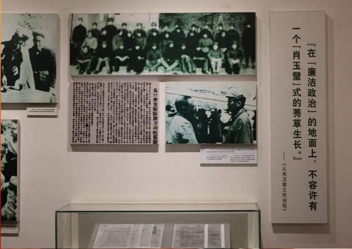 日本无码a片